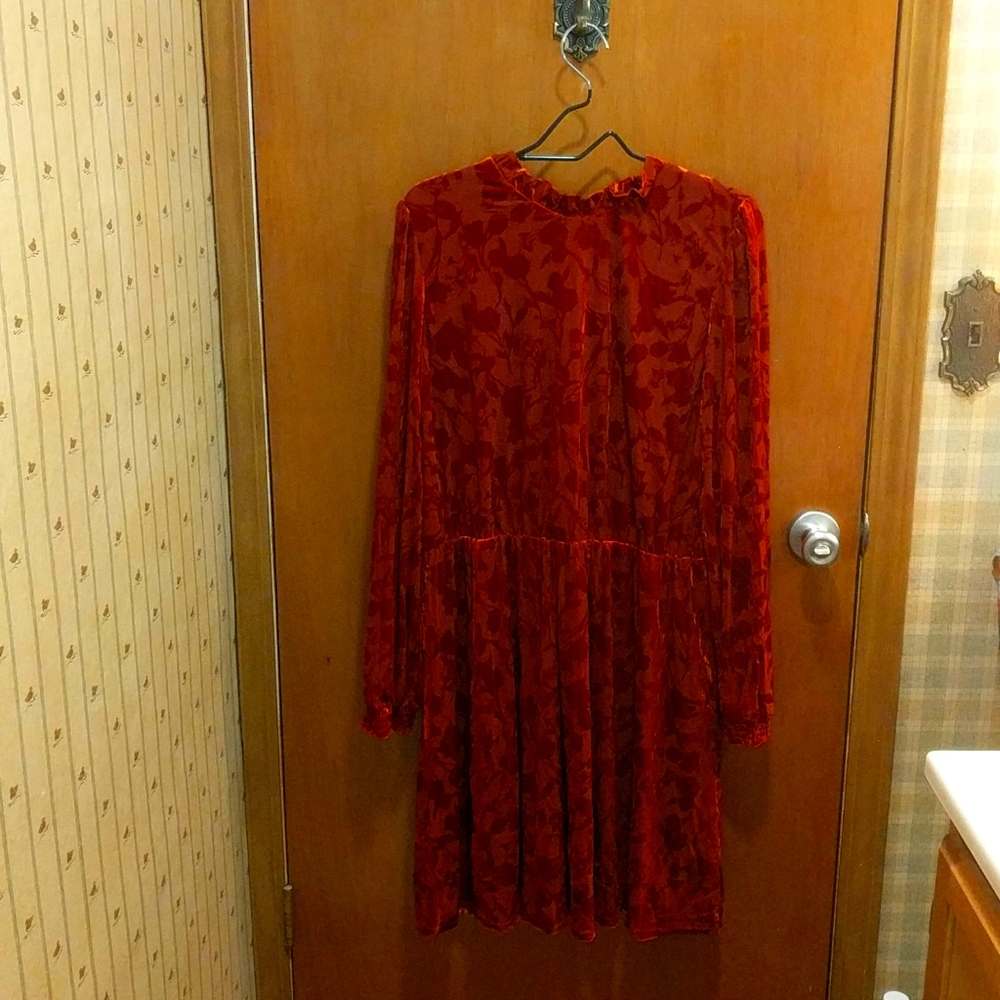 Burnout Velvet Dress